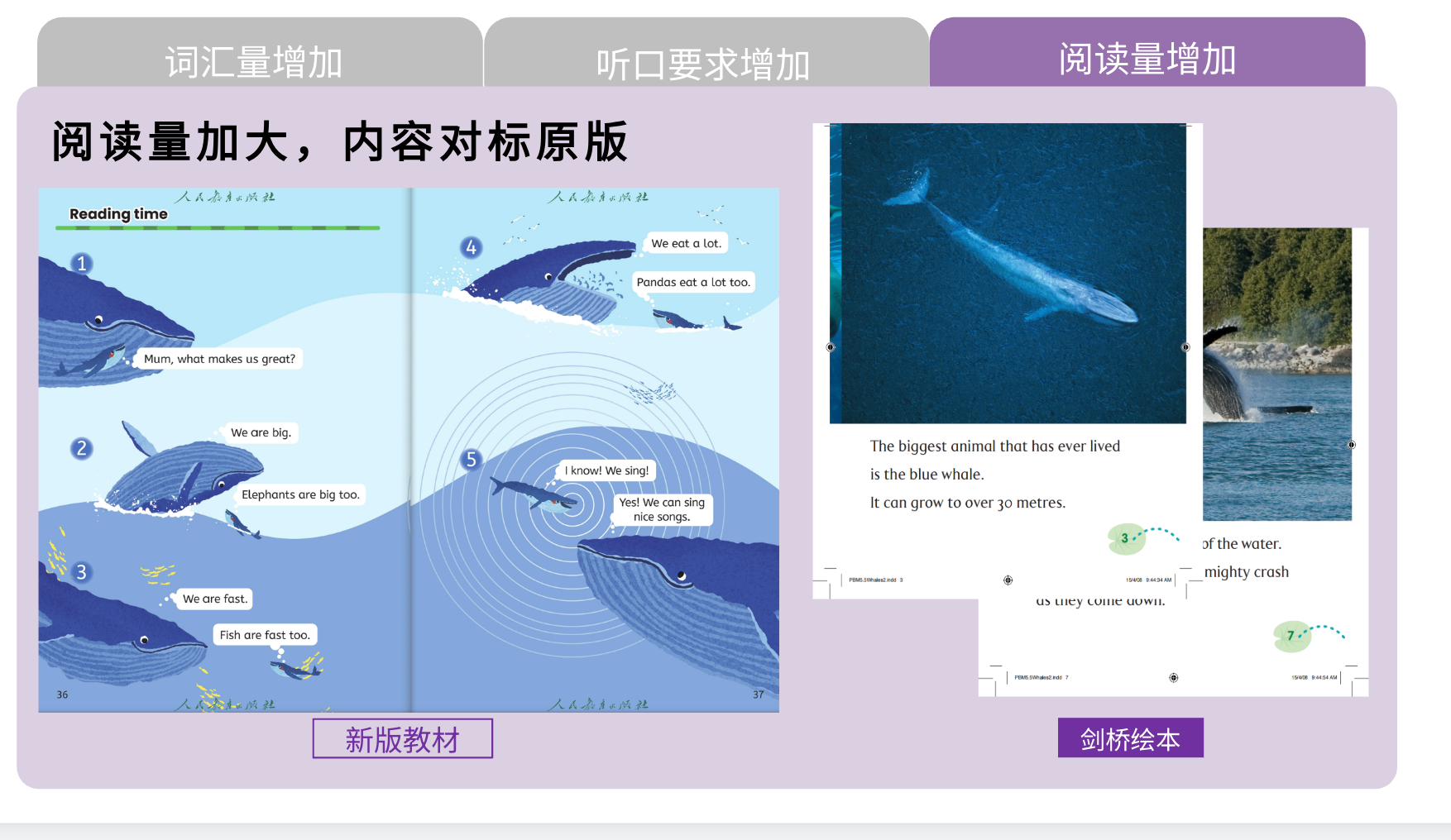 /uploads/image/2026/08/10/62fa71a243bdde09194cb4c3e5e1e50e.png 38b924caec417110e4a831743cb2a525.png