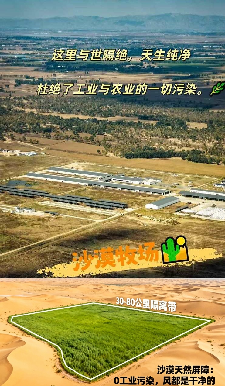 微信图片_20260915140054152_15.jpg